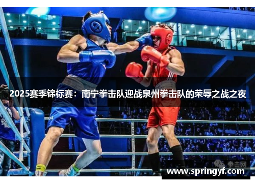 2025赛季锦标赛：南宁拳击队迎战泉州拳击队的荣辱之战之夜