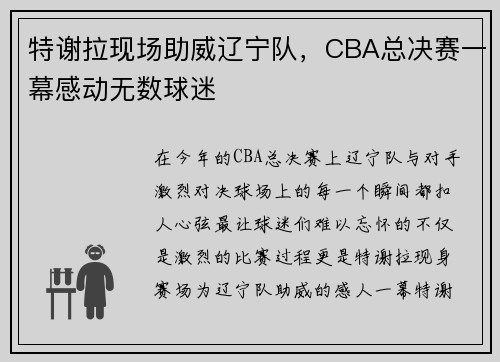 特谢拉现场助威辽宁队，CBA总决赛一幕感动无数球迷